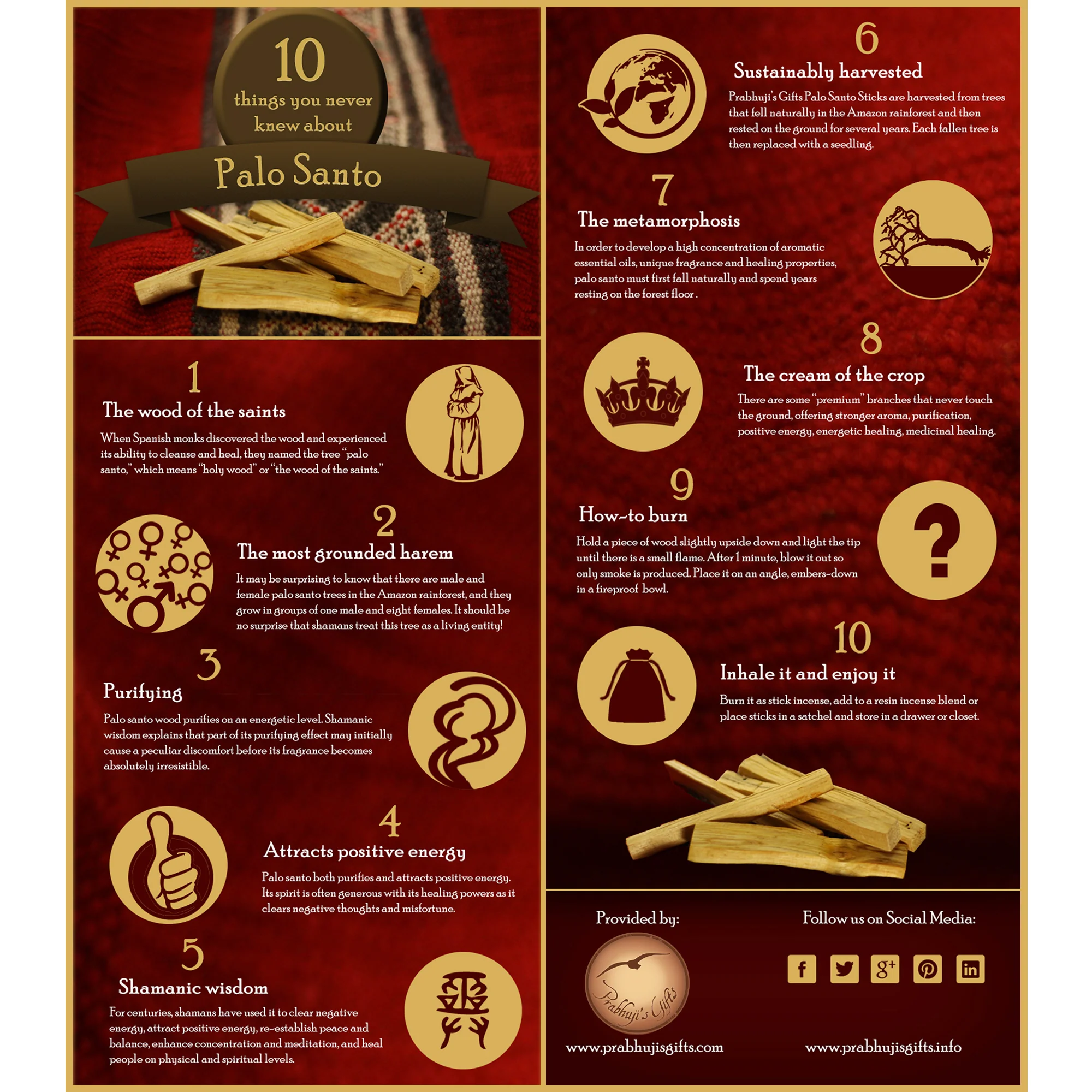Palo Santo and Cinnamon Incense Sticks - Protection & Prosperity - 6 Incense Sticks - Image 6