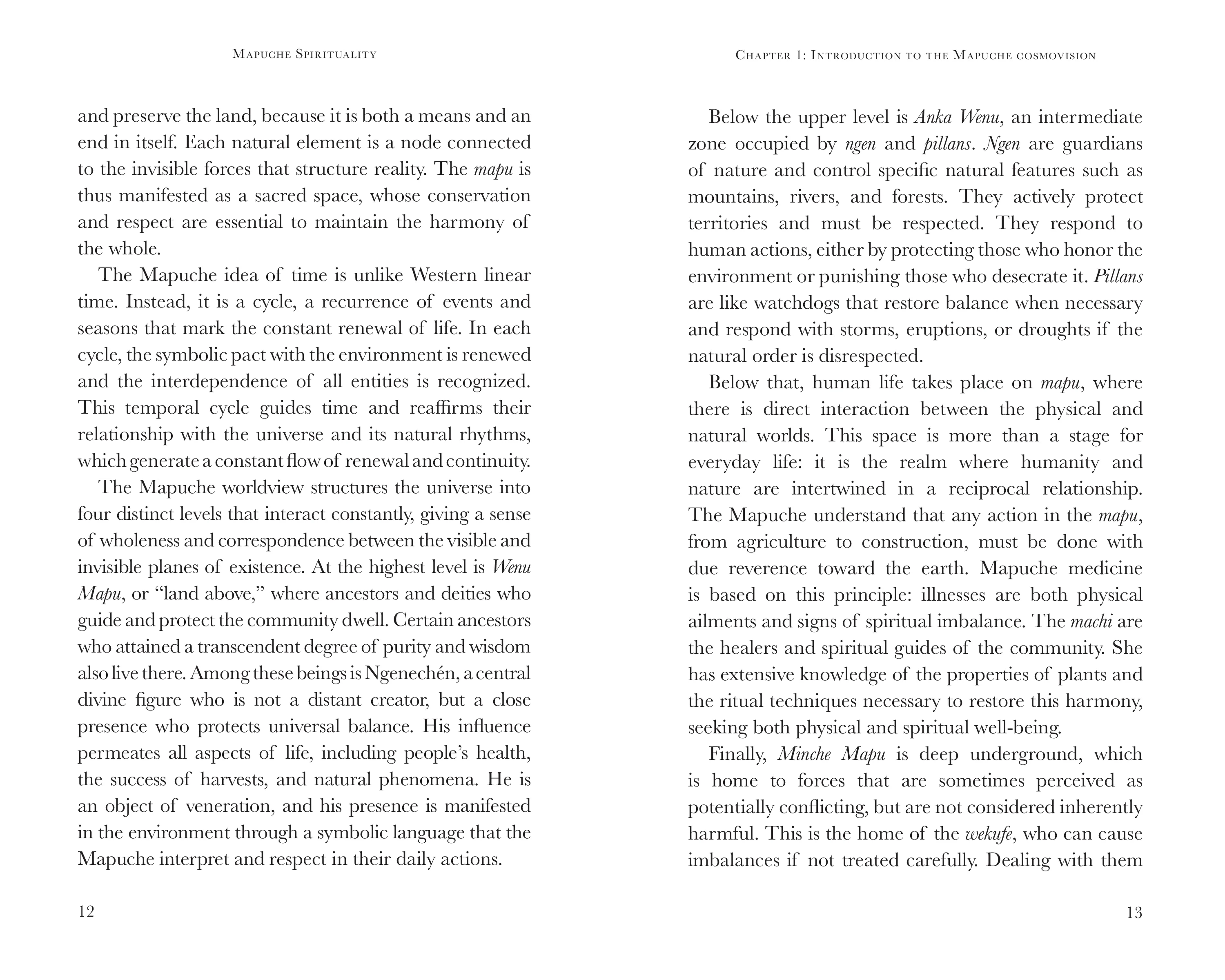 Mapuche spirituality by Prabhuji (English Paperback) - Image 4