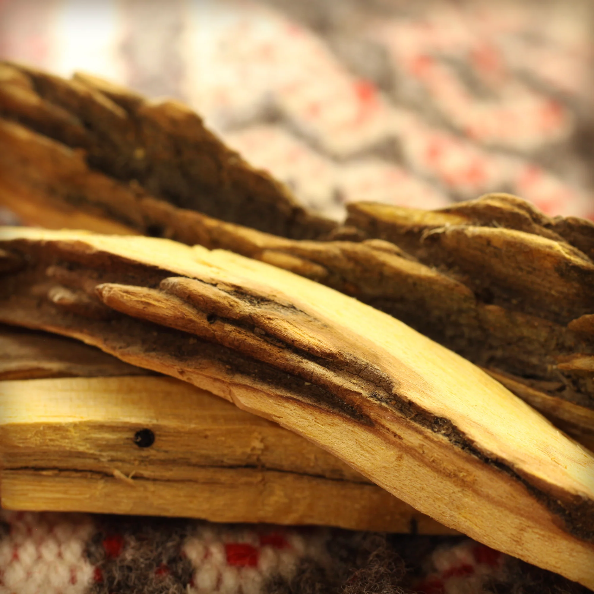 Palo Santo Raw Incense Wood - Premium Amazonian - 5 Sticks - Image 5