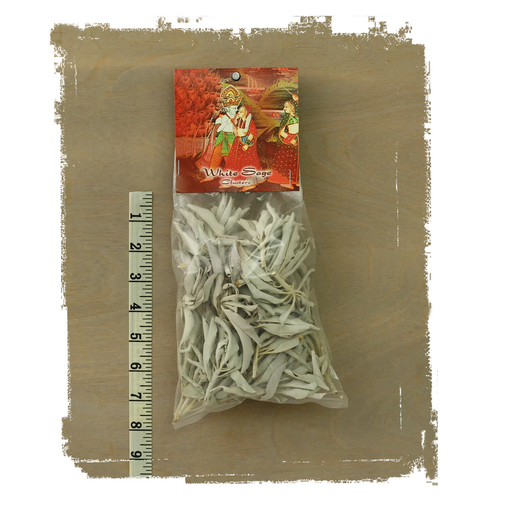White Sage Smudge Clusters - 2oz bag - Image 3